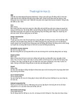 Thuật ngữ tin học phần 2