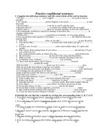 Practice conditional sentences