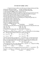 Chuyên đề Sóng P.I