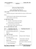 Giao an mi thuat 3  co hinh chen La Hien