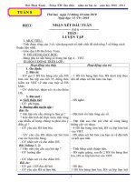 G/A lớp 4 tuần 8- cktkn- 8 buổi