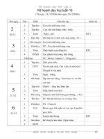 Tuần 16 lớp 2 SN