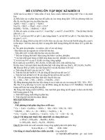 Hung Manu Ôn kì 1 lớp 11 NC