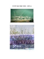 ẢNH ĐẸP - MÙA HOA MẬN ( MỘC CHÂU - SƠN LA)