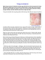 Mụn trứng cá và thuốc trị