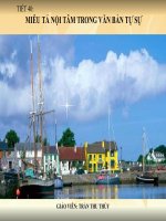 t33-mieu ta trong vb tu su