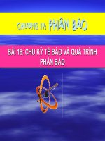 BÀI 18: CHU KỲ TẾ BÀO VÀ QUÁ TRÌNH PHÂN BÀO