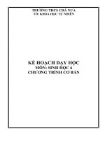 Kế hoạch dạy học sinh 6