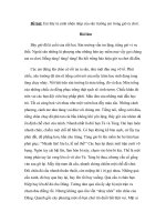 Tả  cảnh sân trường 4