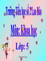 Khoa hoc L5: su sinh san