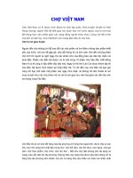 Phong tục tập quán Việt: Chợ Việt Nam