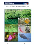 QUAN ĐIỂM TOÀN CẦU VỀ ĐA DẠNG SINH HỌC