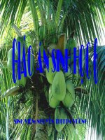 ĐẶC ĐIỂM CHUNG CỦA THỰC VẬT