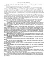 CÁCH LUYỆN CHIM CHÀO MÀO HÓT HAY