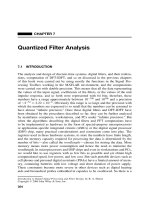 Quantized Filter Analysis