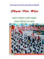 GT_Tao_website1.1.doc