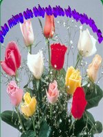 DANH TU LOP4 hgh.ppt