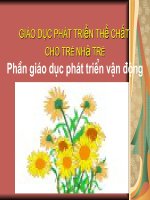 Hè 09.1; Giới thiệu LV  PTTC Nhà trẻ.  HOA