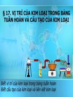 Giáo án 12_Ch5. Vị trí, cấu tạo của Kim loại kiềm