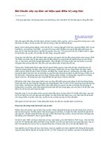 Bài thuốc cây xạ đen và hiệu quả điều trị ung thư