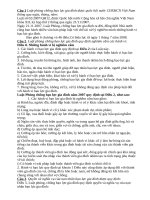 Bài dự thi luật PC bạo lực gia đình 2010