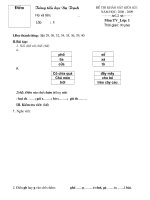 Tiếng Việt- giữa kì I: 2008-2009