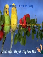 Tiet 11-phat sinh giao tu & thu tinh.