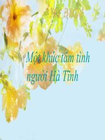 ha tinh minh thong