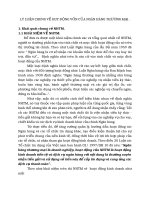 LÝ LUẬN CHUNG VỀ HUY ĐỘNG VỐN CỦA NGÂN HÀNG THƯƠNG MẠI