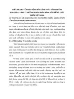 THỰC TRẠNG VỀ HOẠT ĐỘNG BẢO LÃNH PHÁT HÀNH CHỨNG KHOÁN TẠI CÔNG TY CHỨNG KHOÁN NGÂN HÀNG ĐẦU TƯ VÀ PHÁT TRIỂN VIỆT NAM