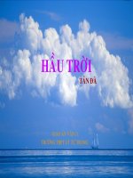 Hau Troi