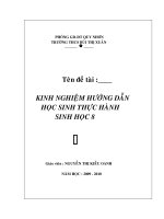 SKKN Huong dan TH s8