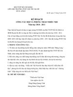 kế hoạch đội năm 2010-2011