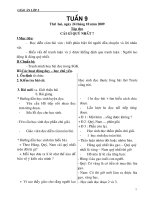 giao an lop 5 tuan 9 cktkn 2010