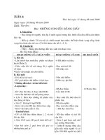 GA lớp 5 tuần 4 ( 2009-2010 )