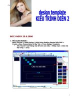 Kiểu trình diễn 2