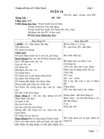 GA LỚP 1 TUẦN 16