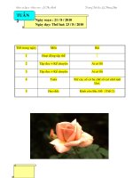 giao an lop 3 tuan 2 thu 2,3