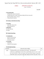 Giáo Án sinh hoạt Pro