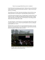 THI HOA HẬU BÒ SỮA ( MỘC CHÂU - SƠN LA)