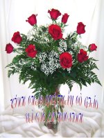 Gián án 12_Bài Sắt