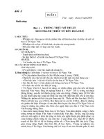 Giao an My thuat 5 - hay