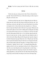 Tả giờ chào cờ 3