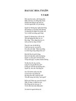 Hai sắc hoa Ti-gôn (T.T.KH)