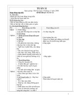 Giáo án lớp 3(tuần 11)
