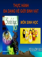 thực hành sinh học 10