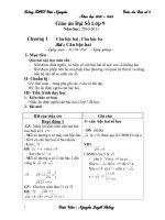 GIAO AN ĐS 9 NAM 2010-2011.HAY
