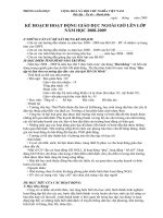 Kế hoạch NGLL- Tiểu học TK 1