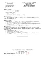 de+da vao 10 Binh Duong nam 2009-2010