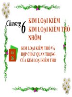 Giáo án 12_ Kim loại kiềm thổ